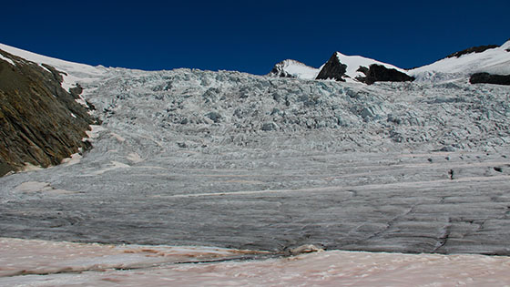 Ewigschneef�ld (Eternal snow field) 
 one of the three main Aletsch Glacier's affluents