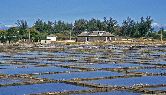 Tamarin Salt Fields