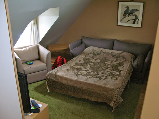 The living room area has a sofa, which can be unfolded to accomodate 2 extra guests