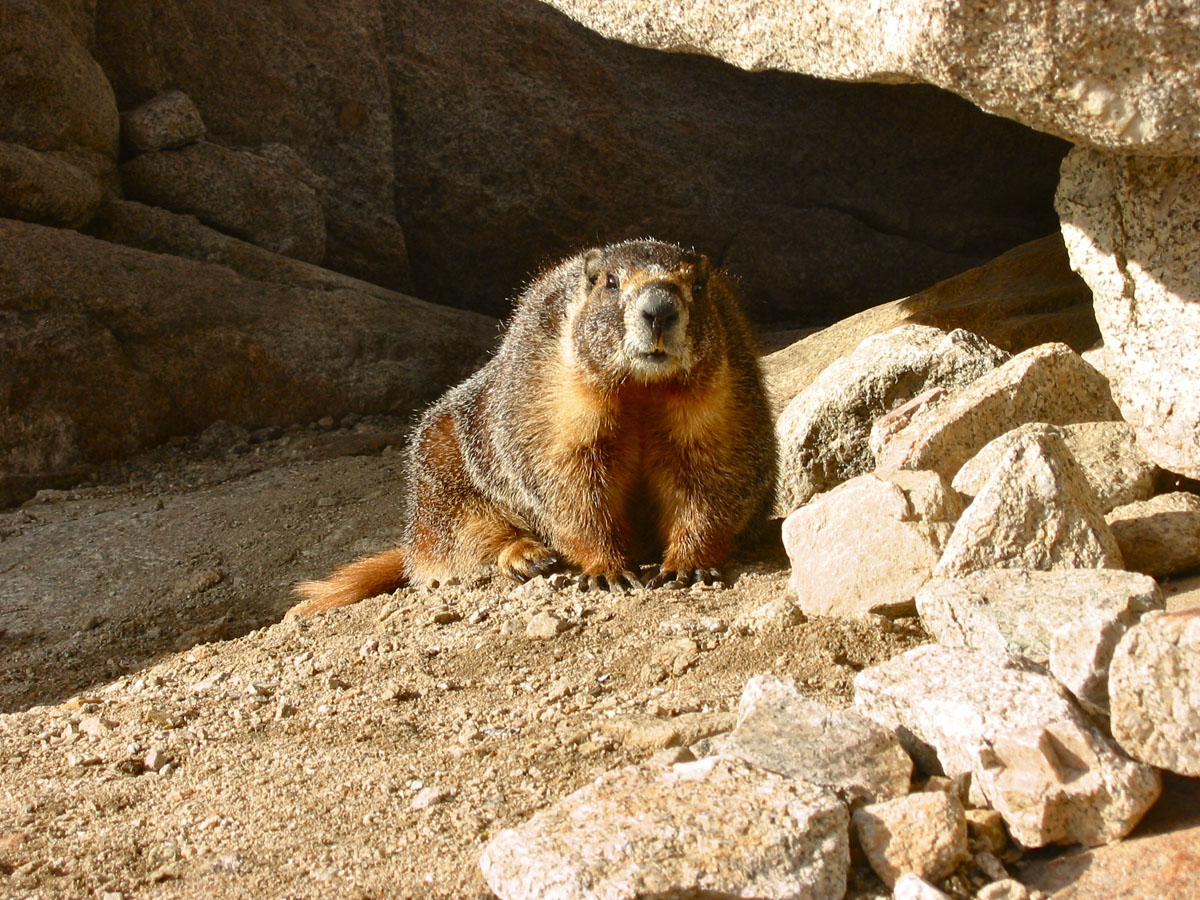 Mount Whitney, California